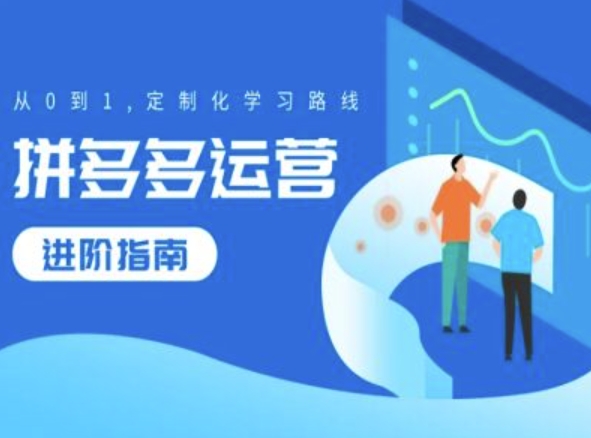 拼多多运营进阶指南，从0到1定制化学习路线-全有网创
