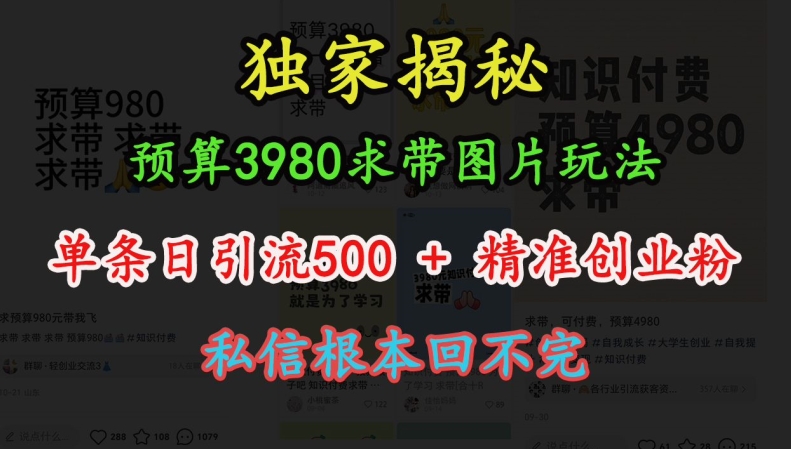 预算3980求带 图片玩法,单条日引流500+精准创业粉,私信根本回不完