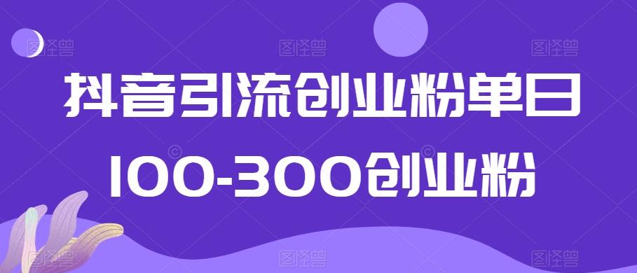 抖音引流创业粉单日100-300创业粉【揭秘】-全有网创
