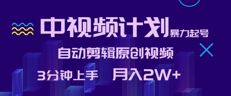 中视频计划暴力起号，自动剪辑原创视频，3分钟上手，月入2W+【揭秘】-全有网创
