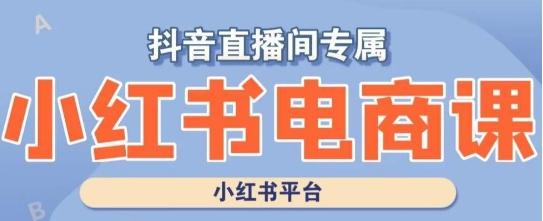 小红书电商高级运营课程，实操教学+案例分析-全有网创