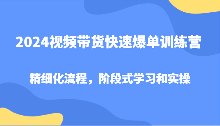 2024视频带货快速爆单训练营，精细化流程，阶段式学习和实操-全有网创
