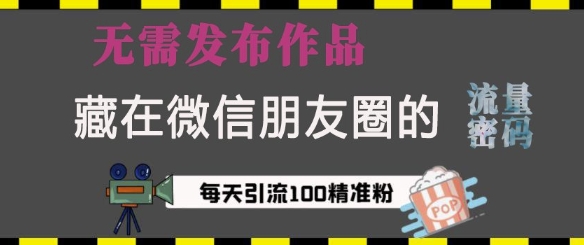 藏在微信朋友圈的流量密码，无需发布作品，单日引流100+精准创业粉【揭秘】-全有网创