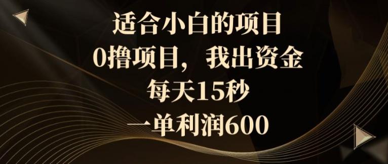 适合小白的项目，0撸项目，我出资金，每天15秒，一单利润600-全有网创