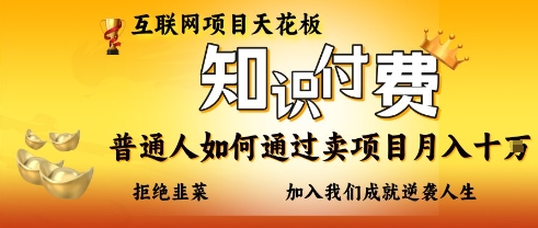 互联网项目天花板，知付付费项目，普通人如何通过卖项目月入十个，拒绝韭菜【揭秘】-全有网创