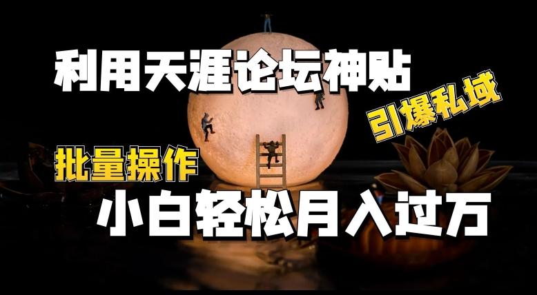 利用天涯论坛神贴，引爆私域，批量操作，小白轻松月入过w【揭秘】-全有网创