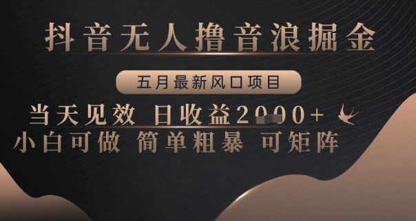 抖音无人撸音浪掘金,五月最新风口项目,当天见效,日收益多张,小白可做简单粗暴可矩阵【揭秘】-全有网创