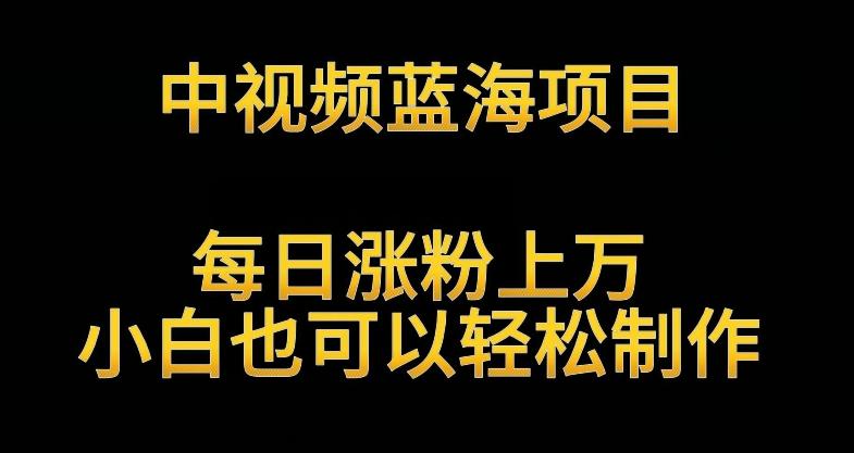 中视频蓝海项目，解读英雄人物生平，每日涨粉上万，小白也可以轻松制作，月入过万不是梦【揭秘】-全有网创