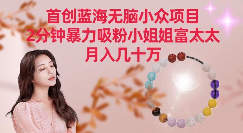 首创蓝海无脑小众项目，2分钟暴力吸粉小姐姐富太太，月入几十万【揭秘】-全有网创