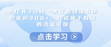 小红书3分钟一条作品精准引流创业粉300+，打造属于自己的流量帝国-全有网创