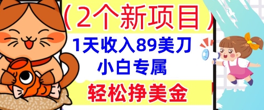 2个新项目,轻松挣美金, 1天收入89美刀,小白专属,干货分享-全有网创