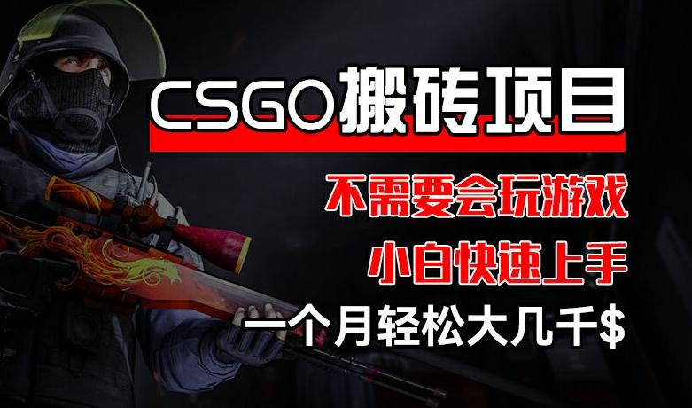 CSGO 装备搬砖项目，操作简单，不需要会玩游戏，小白也能快速上手，一个月轻松大几千【揭秘】-全有网创