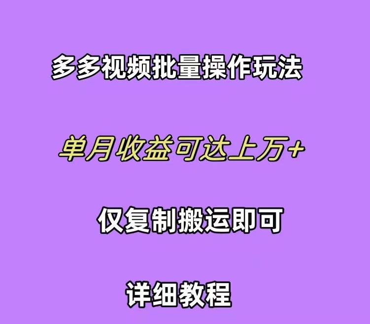 (10029期)拼多多视频带货快速过爆款选品教程 每天轻轻松松赚取三位数佣金 小白必…-全有网创