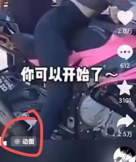 2024年7月苹果手机动图搬运技术-全有网创