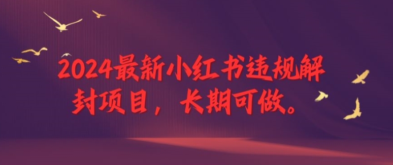 2024最新小红书违规解封项目，长期可做，一个可以做到退休的项目【揭秘】-全有网创