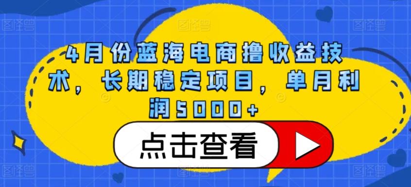 4月份蓝海电商撸收益技术，长期稳定项目，单月利润5000+【揭秘】-全有网创