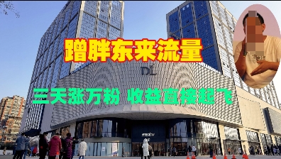 蹭胖东来流量，三天涨万粉，收益直接起飞-全有网创