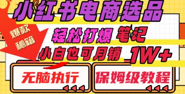 小红书电商爆款选品秘籍，帮你轻松打爆笔记，小白也可轻松月销10000+-全有网创