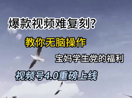 视频号4.0重磅上线,爆款视频难复刻?教你无脑操作宝妈学生党的福利【揭秘】-全有网创