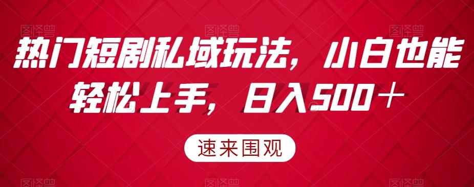 热门短剧私域玩法，小白也能轻松上手，日入500＋-全有网创