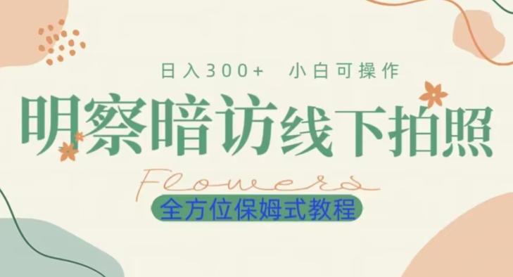 明拍暗拍项目0成本投入日入300+小白可操作保姆式全方位教程-全有网创