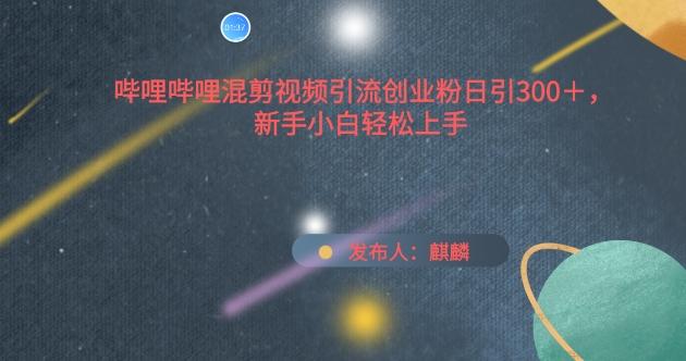 哔哩哔哩混剪视频引流创业粉日引300+，新手小白轻松上手【揭秘】-全有网创