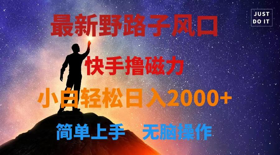 最新风口！快手撸磁力，野路子，小白无脑操作日入2000+-全有网创