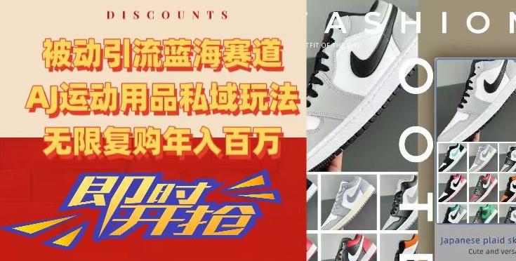 被动引流蓝海赛道，AJ运动用品私域玩法，无限复购年入百万【揭秘】-全有网创