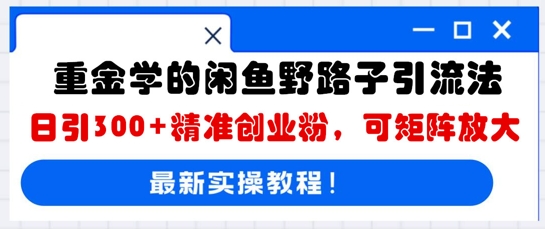重金学的闲鱼野路子引流法，日引300+精准创业粉，可矩阵放大-全有网创