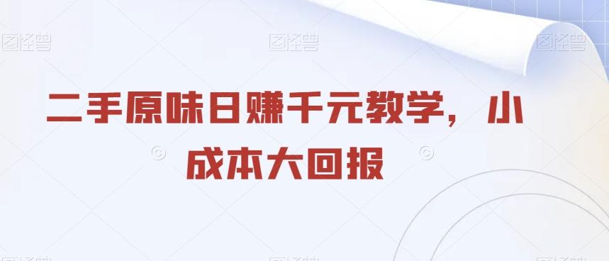 二手原味日赚千元教学，小成本大回报-全有网创