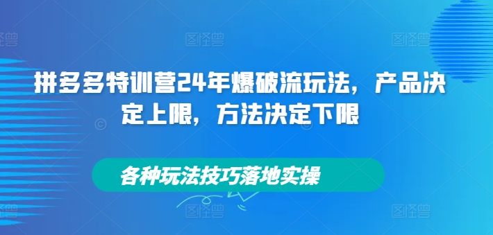 拼多多特训营24年爆破流玩法,产品决定上限,方法决定下限,各种玩法技巧落地实操