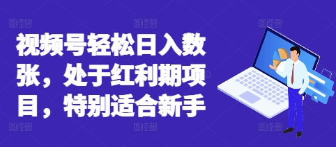 视频号轻松日入数张，处于红利期项目，特别适合新手-全有网创