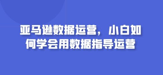 亚马逊数据运营，小白如何学会用数据指导运营-全有网创