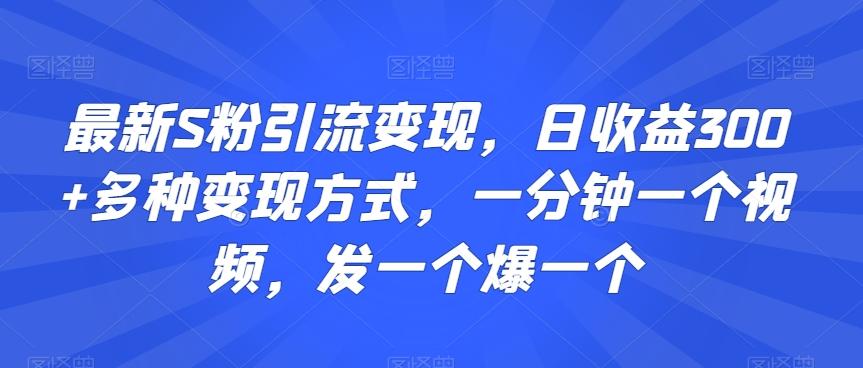 最新S粉引流变现，日收益300+多种变现方式，一分钟一个视频，发一个爆一个【揭秘】-全有网创