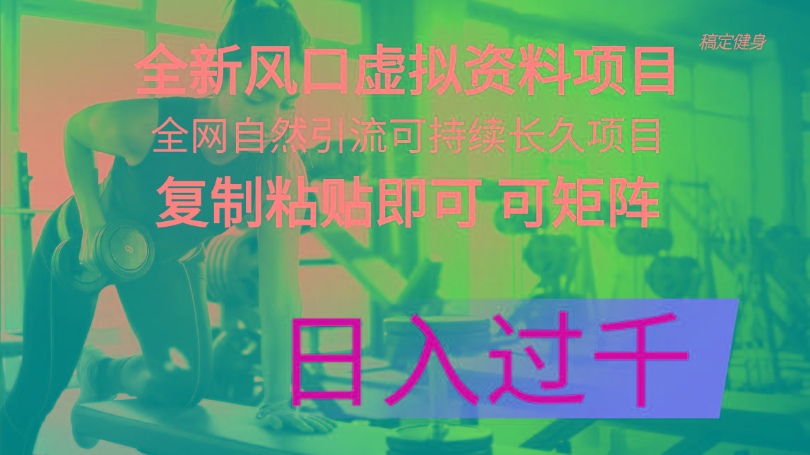全新风口虚拟资料项目 全网自然引流可持续长久项目 复制粘贴即可可矩阵…-全有网创