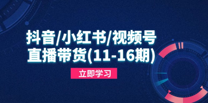 抖音/小红书/视频号/直播带货(11-16期-全有网创