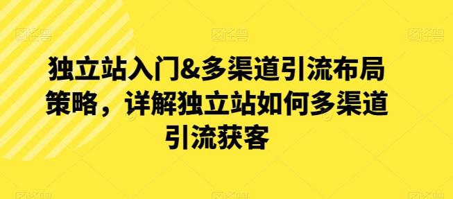 独立站入门&多渠道引流布局策略，详解独立站如何多渠道引流获客-全有网创