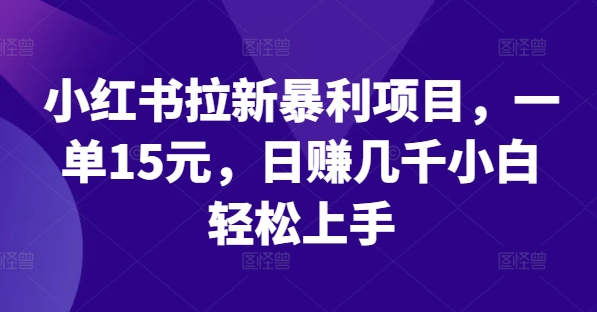 小红书拉新暴利项目，一单15元，日赚几千小白轻松上手【揭秘】-全有网创