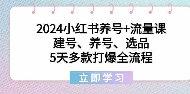 2024小红书养号+流量课:建号、养号、选品,5天多款打爆全流程-全有网创
