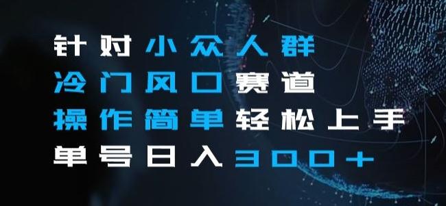 针对小众人群冷门风口赛道,操作简单轻松上手单号日入300+