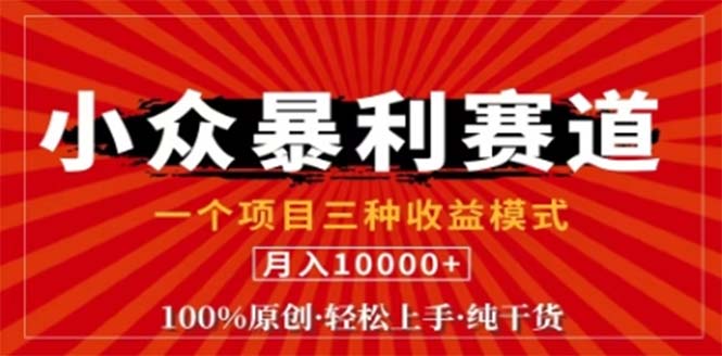 视频号最新爆火赛道，三种可收益模式，0粉新号条条原创条条热门 日入1000+-全有网创