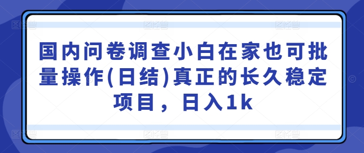 国内问卷调查小白在家也可批量操作(日结)真正的长久稳定项目，日入1k【揭秘】-全有网创