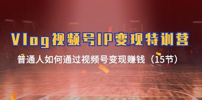 Vlog 视频号IP变现特训营，普通人如何通过视频号变现赚钱(15节-全有网创