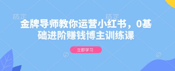 金牌导师教你运营小红书，0基础进阶赚钱博主训练课-全有网创