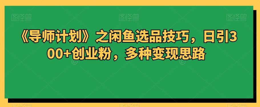 《导师计划》之闲鱼选品技巧，日引300+创业粉，多种变现思路-全有网创