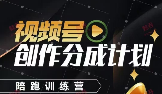 视频号创作分成计划陪跑训练营，手把手教会你如何制作视频，细水长流型项目-全有网创