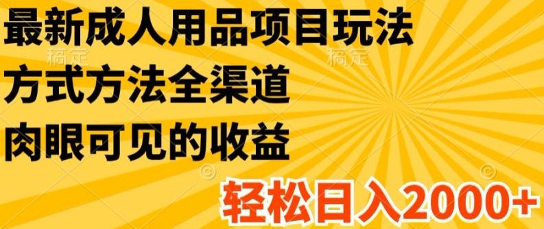最新成人用品项目玩法，方式方法全渠道，轻松日入2K+【揭秘】-全有网创