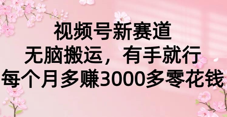 (9278期)视频号新赛道，无脑搬运，有手就行，每个月多赚3000多零花钱-全有网创