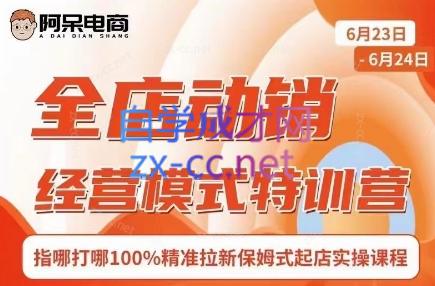 阿呆电商·全店动销经营模式特训营(线下录音+思维导图)-全有网创