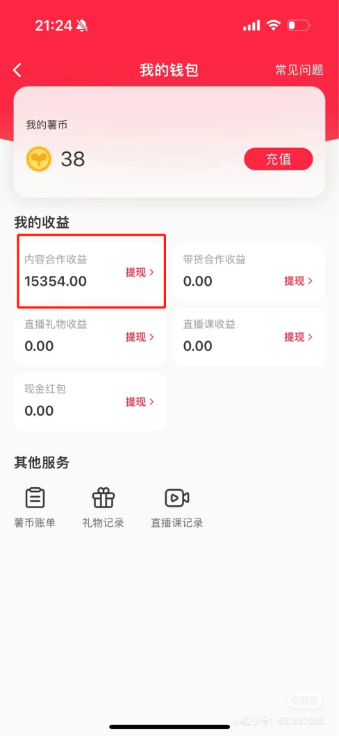 热门评论引爆小红书流量，作品制作简单，广告接到手软，月入过万不是梦-全有网创